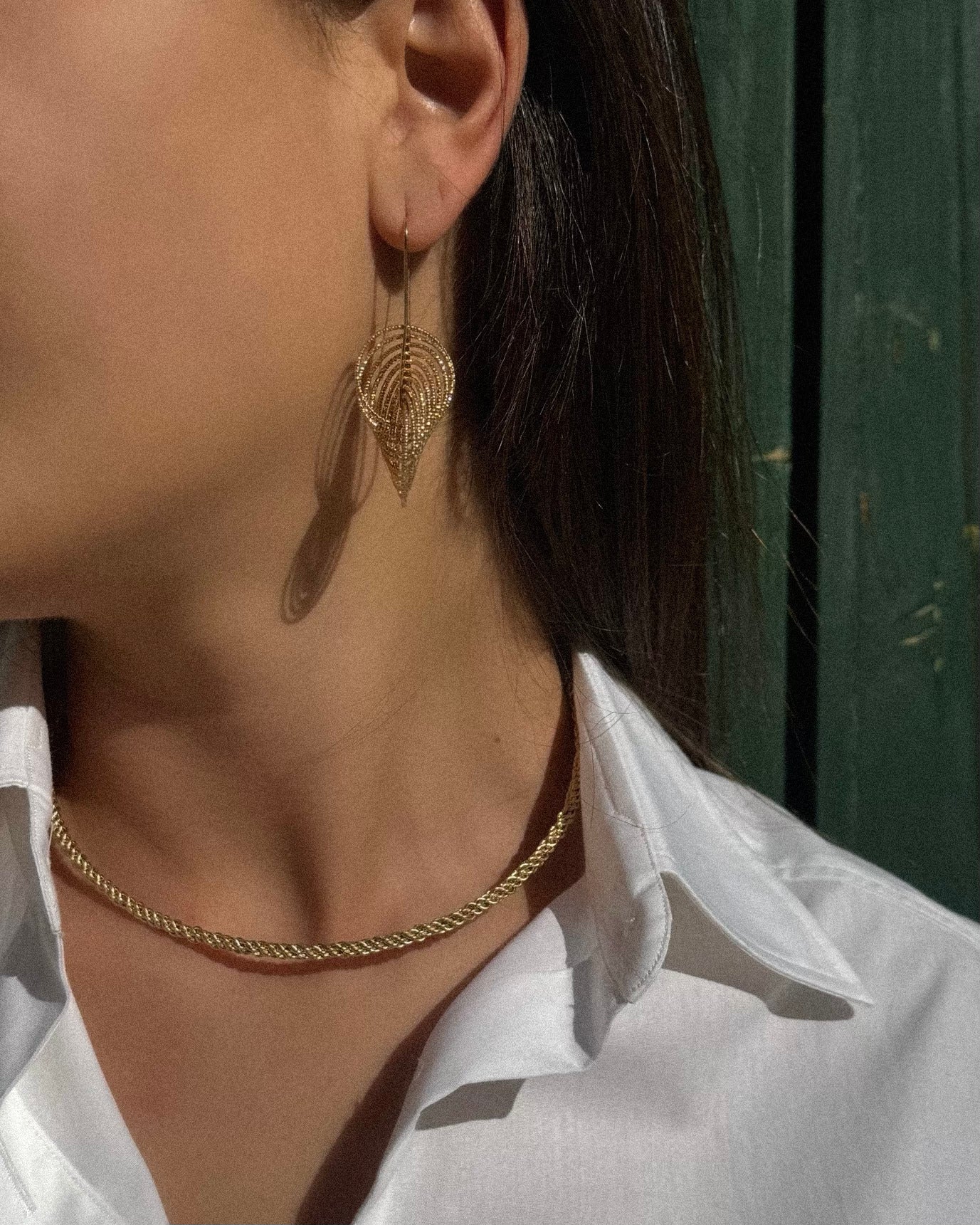 Orecchini DNA in Argento 925